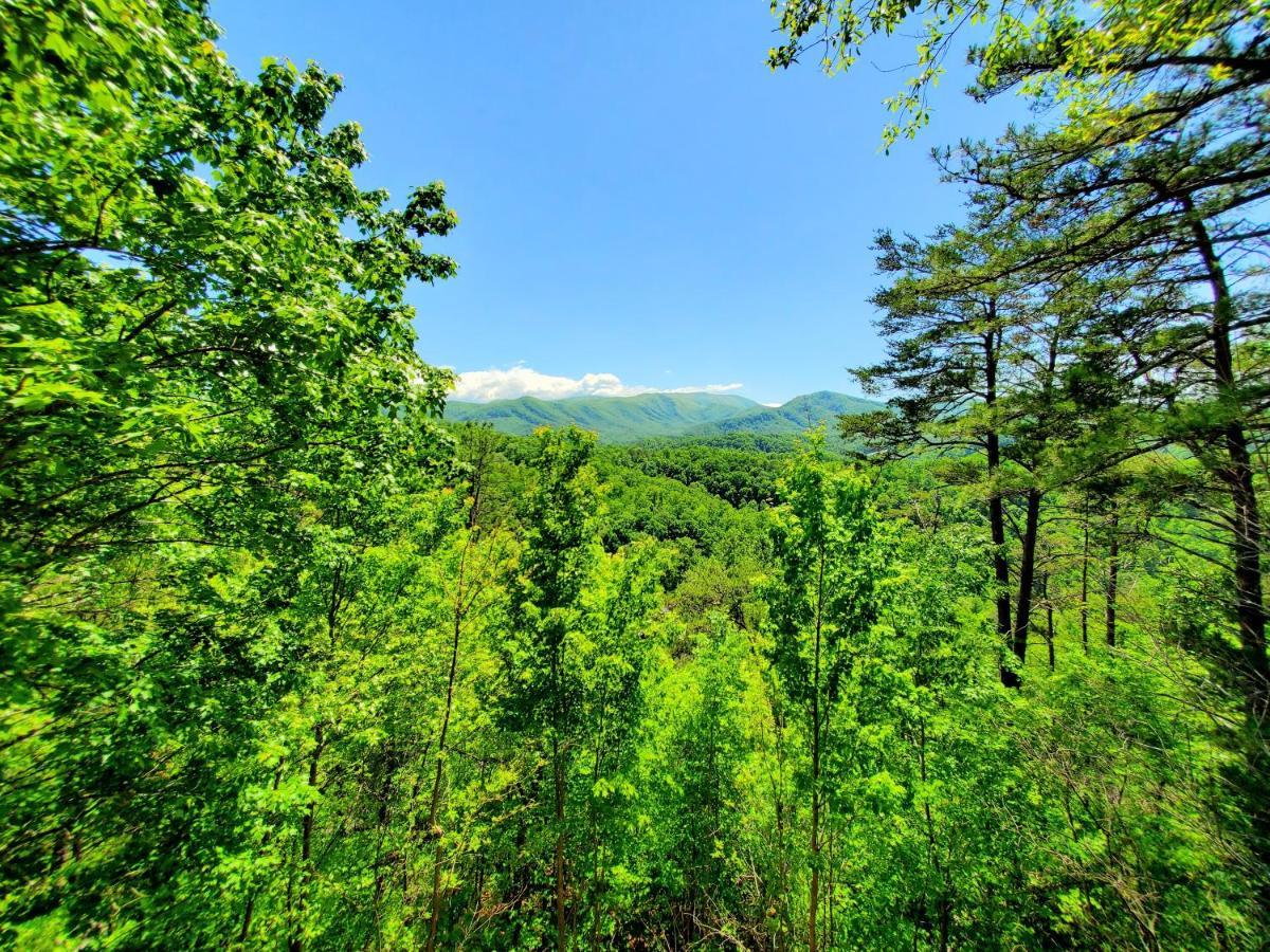 Mountain Ridge Villa Pigeon Forge Exterior foto
